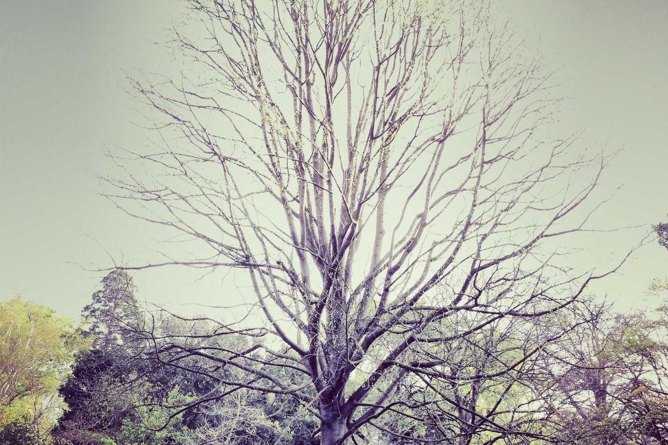 Legal and Ethical Complexities